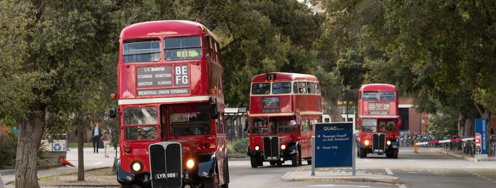 Three classic red Unitrans double decker buses drive down Howard Way