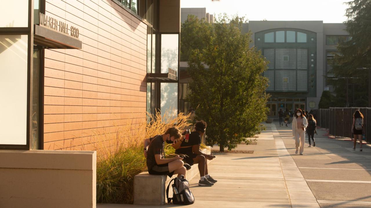 Students sit outside The Graduate Center at Walker Hall on the walkway between Shields Library and the Student Community Center. (Gregory Urquiaga/UC Davis).