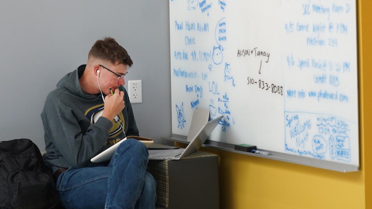 Student studying with whiteboard.