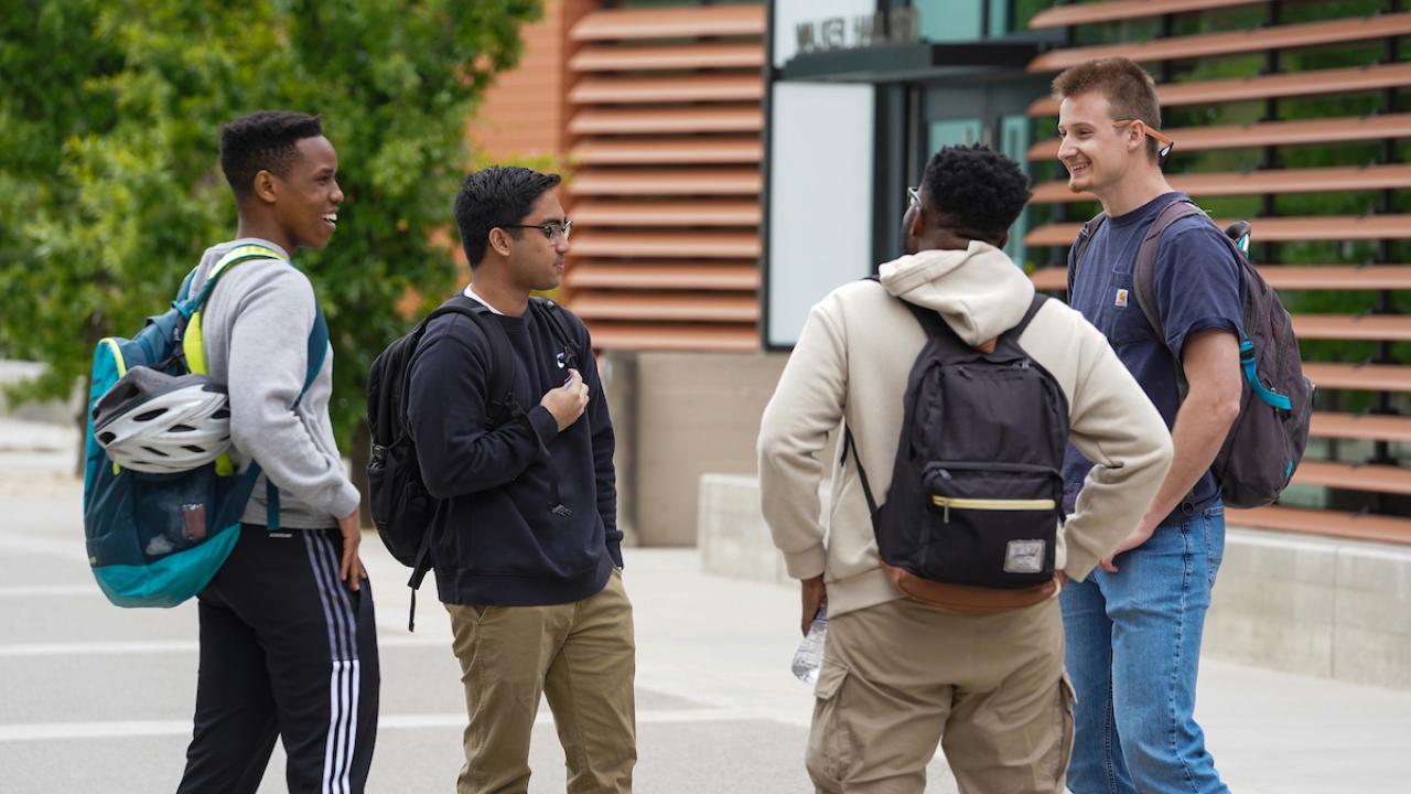 Students talking on the pathway near Walker Hall and Sheilds Library.