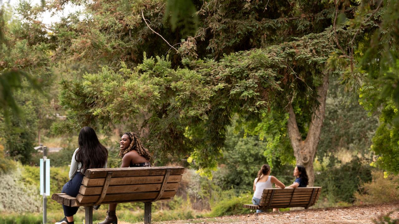 Students gather and talk as they enjoy the Arboretum's Lake Spafford.