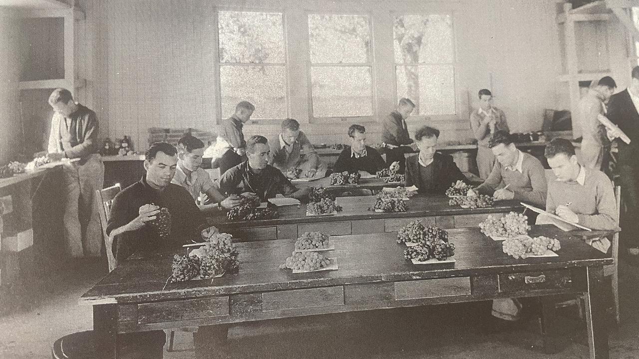 A viticulture class at UC Davis, circa 1925 (Courtesy)