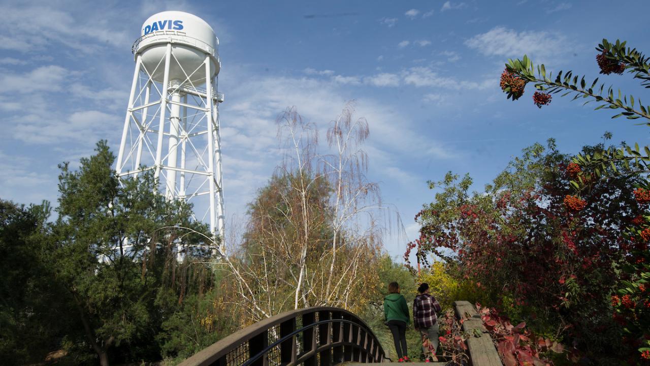 arboretum water tower