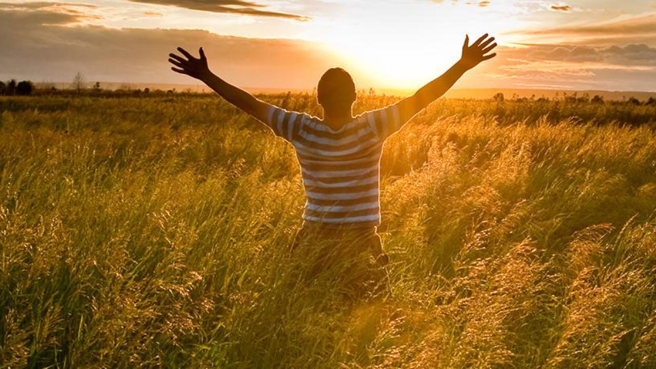 guy in field at sunset