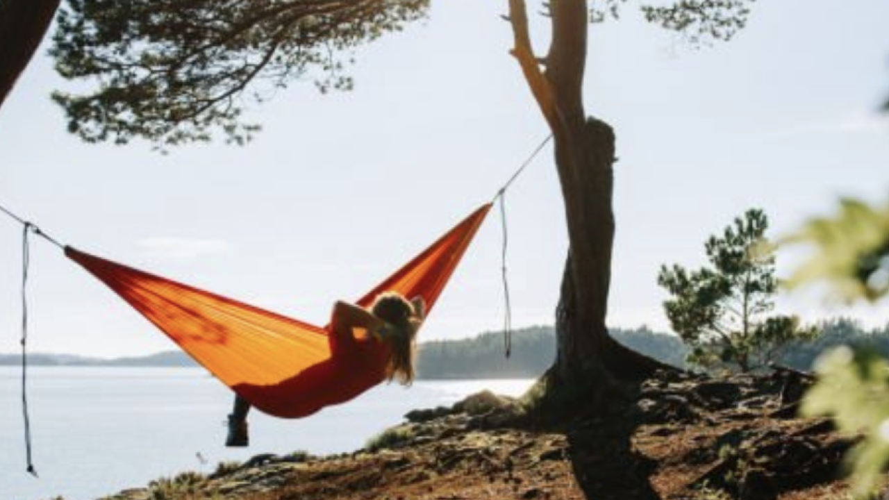 Sunlit orange hammock tied between trees on a calm shoreline.