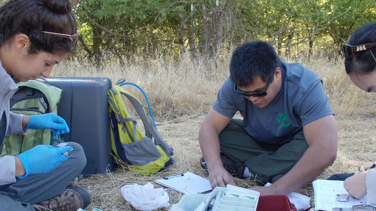 UC Davis graduate alumna Allison Injaian works with her mentees in the field. 