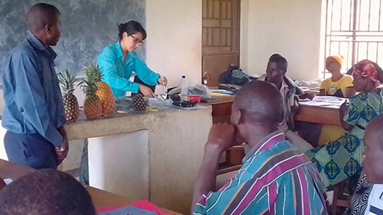 UC Davis graduate student Karin Albornoz leads a workshop in postharvest handling of pineapple in Uganda, with a Trellis Fund project led by NIRP.