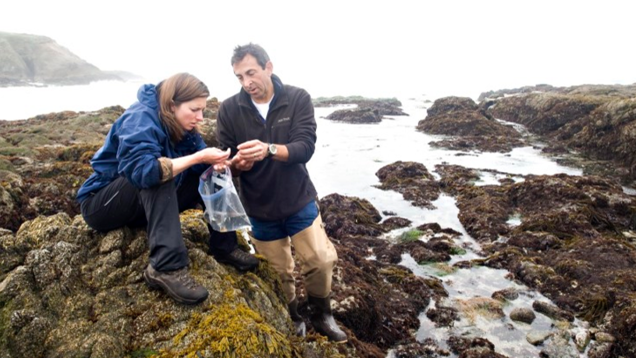 Marine science graduate research at UC Davis
