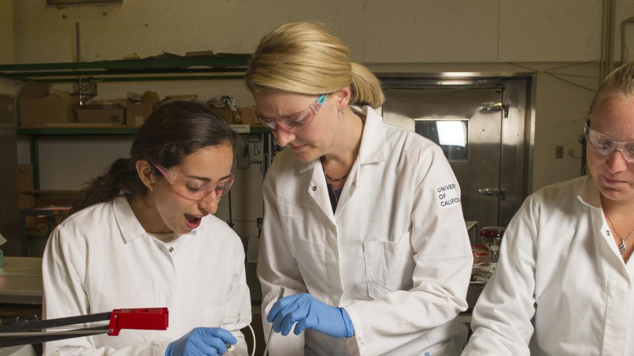Assistant Professor Gail Bornhorst with UC Davis graduate students