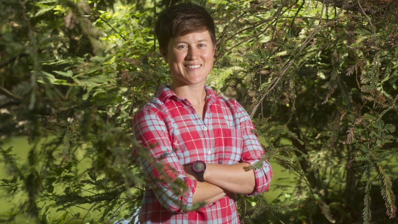 Markovich standing in in a Redwood tree grove