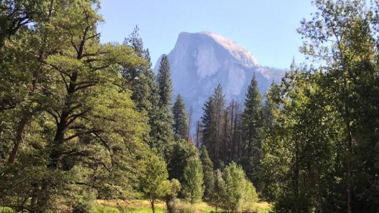 El Capitain - scenic photo of mountain with trees