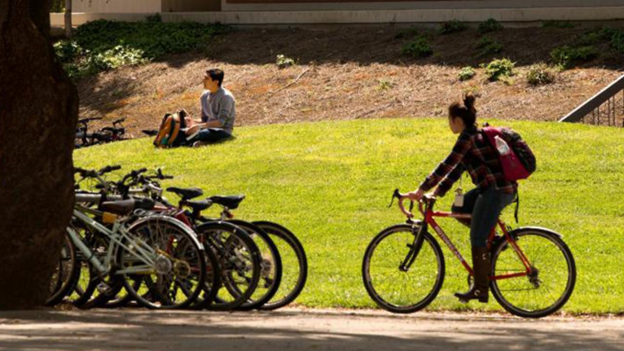 UC Davis students biking and relaxing on the Davis campus
