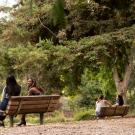 Students gather and talk as they enjoy the Arboretum's Lake Spafford.