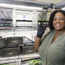Victoria Watson-Zink, Ph.D. '22, studies the reproductive biology and developmental processes of terrestrial crabs. (Courtesy photo)