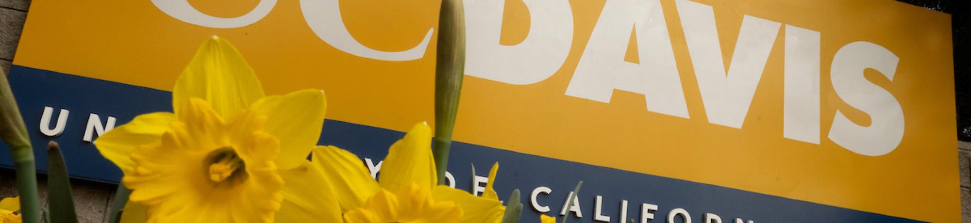 UC Davis sign